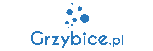 Logo serwisu ABC grzybicy w serwisie Grzybice.pl | Objawy i profilaktyka, baza wiedzy
